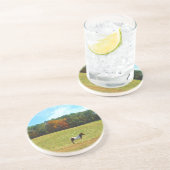 Braun- und Weißpferd, Herbstbäume, blauer Himmel Untersetzer (Seite)