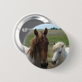 Braun- und Weißpferde, Button (Vorne & Hinten)