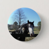 Braun & Weiß, gestrichenes Pferd, hellblauer Himme Button (Vorderseite)