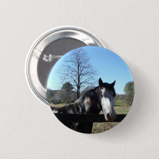 Braun & Weiß, gestrichenes Pferd, hellblauer Himme Button (Vorne & Hinten)