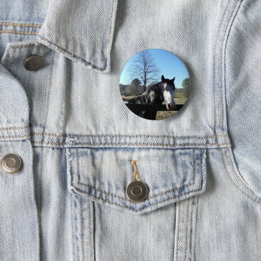 Braun & Weiß, gestrichenes Pferd, hellblauer Himme Button (Beispiel)