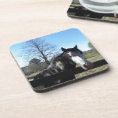 Braun & Weiß, gestrichenes Pferd, hellblauer Himme Getränkeuntersetzer (Linke Seite)