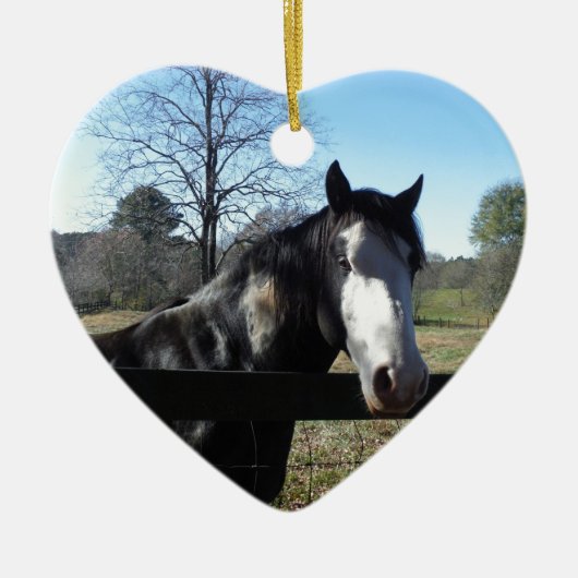 Braun & Weiß, gestrichenes Pferd, hellblauer Himme Keramik Ornament (Vorne)