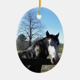 Braun & Weiß, gestrichenes Pferd, hellblauer Himme Keramikornament