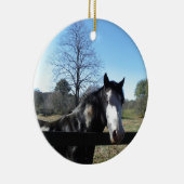 Braun & Weiß, gestrichenes Pferd, hellblauer Himme Keramikornament (Rechts)