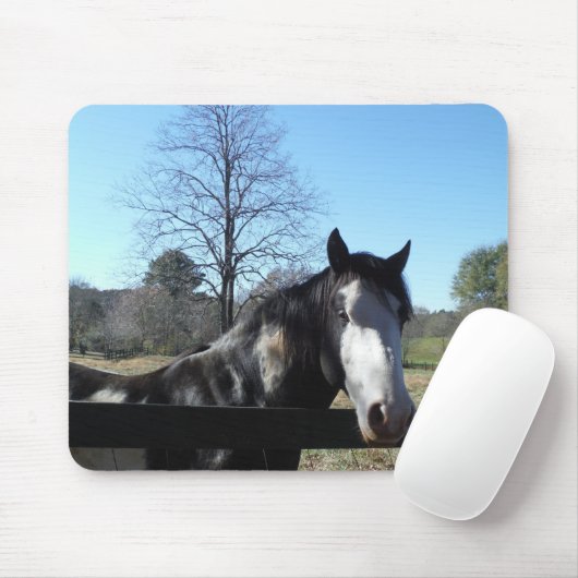 Braun & Weiß, gestrichenes Pferd, hellblauer Himme Mousepad (Mit Mouse)