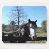 Braun & Weiß, gestrichenes Pferd, hellblauer Himme Mousepad (Vorne)