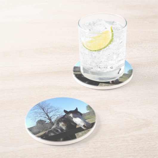 Braun & Weiß, gestrichenes Pferd, hellblauer Himme Sandstein Untersetzer (Seite)