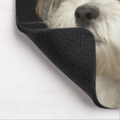 Braun-weißer Shih Tzu mit geschlossenen Augen Mousepad (Ecke)