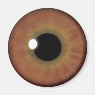 Braunauge Iris Eyeball Coole, kundenspezifische Ru Magnet