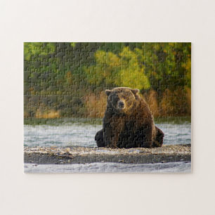 Braunbär Alaska. Puzzle