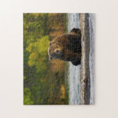 Braunbär Alaska. Puzzle (Vertikal)