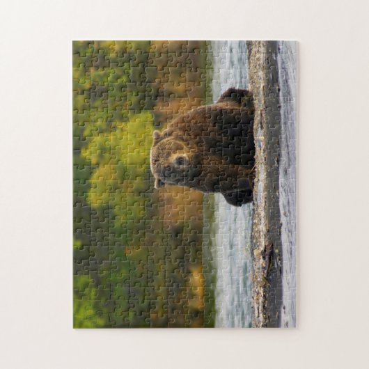 Braunbär Alaska. Puzzle (Vertikal)