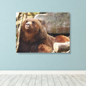 Braunbär auf der Leinwand des Zoos (Insitu (Holzboden))