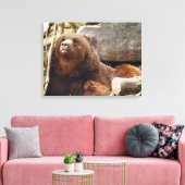 Braunbär auf der Leinwand des Zoos (Insitu (Wohnzimmer))
