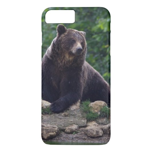 Braunbär Case-Mate iPhone Hülle (Rückseite)