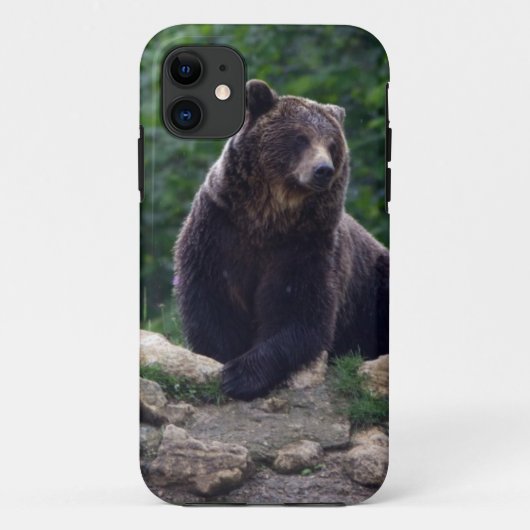 Braunbär Case-Mate iPhone Hülle (Rückseite)