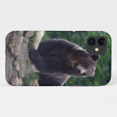 Braunbär Case-Mate iPhone Hülle (Rückseite (Horizontal))