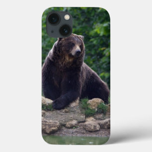 Braunbär Case-Mate iPhone Hülle