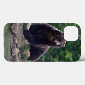 Braunbär Case-Mate iPhone Hülle (Rückseite (Horizontal))