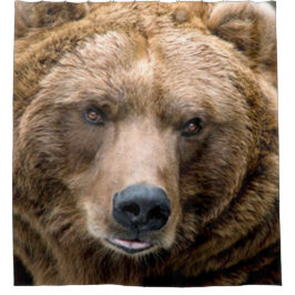 Braunbär Duschvorhang