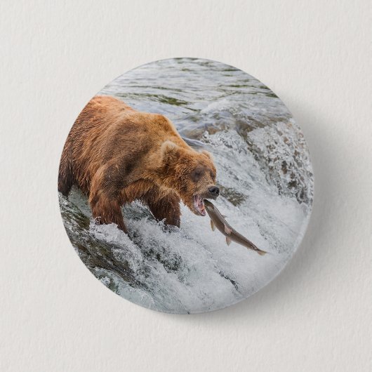 Braunbär fängt roten Lachs Button (Vorderseite)