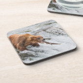 Braunbär fängt roten Lachs Getränkeuntersetzer (Linke Seite)
