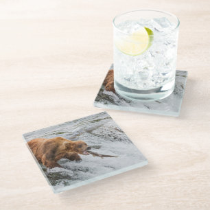 Braunbär fängt roten Lachs Glasuntersetzer