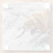 Braunbär fängt roten Lachs Glasuntersetzer (Rückseite)