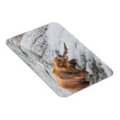 Braunbär fängt roten Lachs Magnet (Rechte Seite)