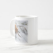 Braunbär fängt Rotlachs Kaffeetasse (Vorderseite Links)