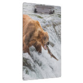 Braunbär fängt Rotlachs Klemmbrett (Rechts)