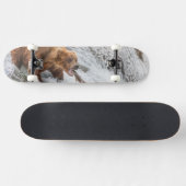 Braunbär fängt Rotlachs Skateboard (Horizontal)