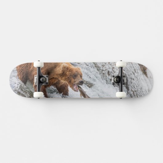 Braunbär fängt Rotlachs Skateboard (Horizontal)