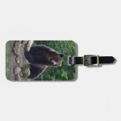 Braunbär Gepäckanhänger (Vorderseite horizontal)
