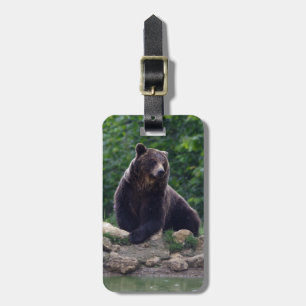 Braunbär Gepäckanhänger