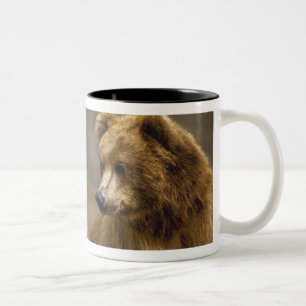 Braunbär-Geschenke Zweifarbige Tasse