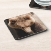 Braunbär Getränkeuntersetzer (Linke Seite)