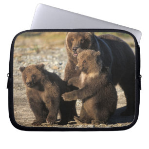Braunbär, Grizzlybär, Bärin mit Jungen an der Küst Laptopschutzhülle