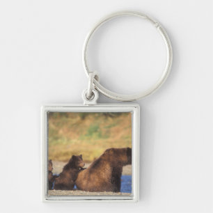 Braunbär, Grizzlybär, Bärin mit Jungen, Schlüsselanhänger