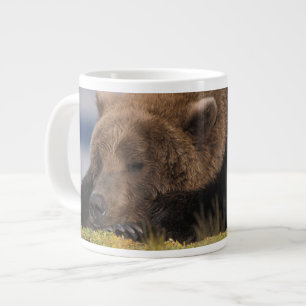 Braunbär, Grizzlybär, beim Nickerchen, Katmai Jumbo-Tasse