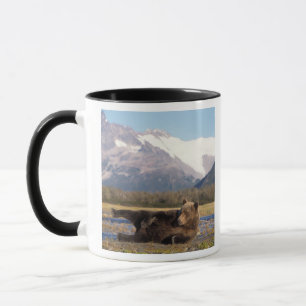 Braunbär, Grizzlybär, der sich auf seinem Rücken a Tasse