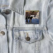 Braunbär, Grizzlybär, Lachsfang, Button (Beispiel)