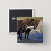 Braunbär, Grizzlybär, Lachsfang, Button (Vorne & Hinten)