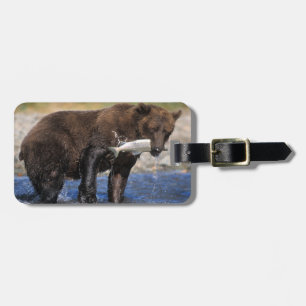 Braunbär, Grizzlybär, Lachsfang, Gepäckanhänger
