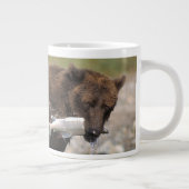 Braunbär, Grizzlybär, Lachsfang, Jumbo-Tasse (Rechts)