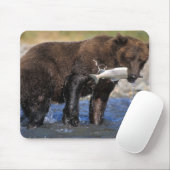 Braunbär, Grizzlybär, Lachsfang, Mousepad (Mit Mouse)