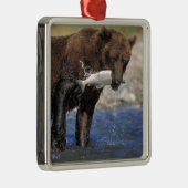 Braunbär, Grizzlybär, Lachsfang, Silbernes Ornament (Rechts)