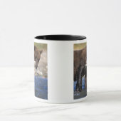 Braunbär, Grizzlybär, Lachsfang, Tasse (Zentrum)