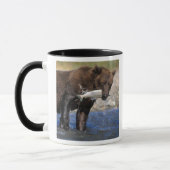 Braunbär, Grizzlybär, Lachsfang, Tasse (Links)
